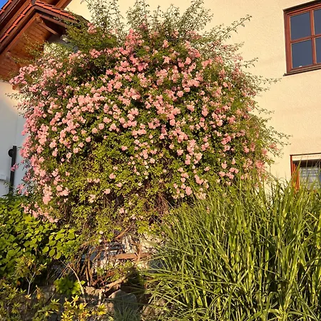 Puchheim Apartment * Puchheim